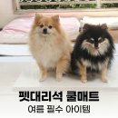 우영유통 | 여름에 우리집 강아지, 이제는 현관말고 "펫 대리석 쿨매트" 위에