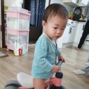 나무고아원A 이미지