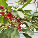 (주)비에스팜 이미지