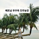 진주농장 | 베트남 푸꾸옥 바닷가 숨은 사진명소!! 응옥히엔 진주농장&amp;박물관 무료방문후기~ft.공짜팔찌받는 팁공유!!