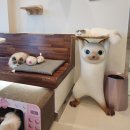 아이조아 캣파크 서울점 | 서울 용산구 애견호텔 아이조아캣파크 서울점 요금 운영시간 지도