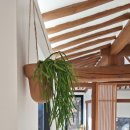 스테이 말래 이미지