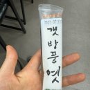 무안스포츠파크 보조축구장 | 하이원리조트 마운틴콘도 후기| 강원랜드 카지노 후기| 메밀촌 막국수| 곤돌라| 부대시설| 호텔 수영장