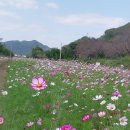 황산공원 이미지