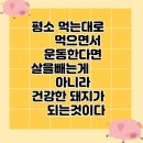 드림점핑다이어트 이미지