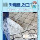 그린카페트 소파세탁 | 광주 카페트 청소 수거 세탁 가능합니다