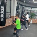 BMG 복싱 이미지