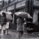 청량리25 이미지