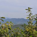 사자사지 | 익산 미륵산 (사자암 주차장 ~ 정상, 왕복산행) (ft. 미륵사지, 사자암) 2021.10.03.