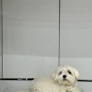아뜰리에한땀