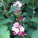 만수3동-12 이미지