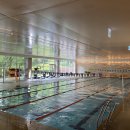 현대기아자동차연구소 2 | 롤링힐스 호텔 룸서비스 뷔페 수영장 조식 객실 후기