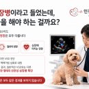 인천동물심장내과