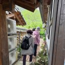 함월농장 네이버블로그
