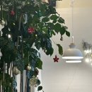 포레스타 부산 이미지