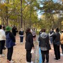 곡성유치원 이미지
