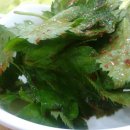 청학동손칼국수