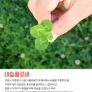 산골마당