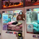 엑스탑오락실 이미지