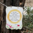 삼진행정사사무소 이미지