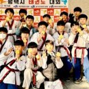 용인대 효 태권도 네이버블로그