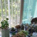 칠원동충전소 이미지