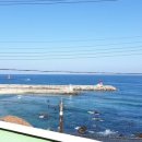 송가네 바다별장 이미지