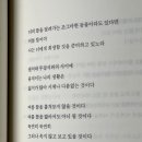 오늘도전집 티스토리