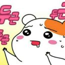 하루몽 네이버블로그