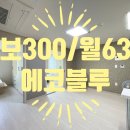 제주한라공인중개사사무소 이미지