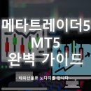 메타스퀘어글로벌 이미지