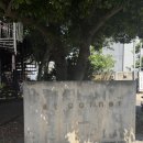 앳코너 | 제주 공항 근처 4인 숙소 추천 , 앳코너 S1 후기