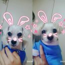 초지마트 - 안산시 단원구 신촌6길 29 | 초지마트