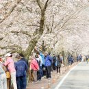 용당세월교 이미지