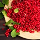 오미자 화장실 이미지