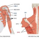 국가공인안마원 이미지