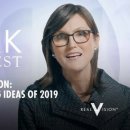 개인(이항) 이미지