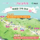 화순보건소 | 2024 화순 고인돌 가을꽃 축제 기본 정보 및 다녀온 후기 - feat 화순고인돌유적지 일원