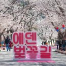 벚꽃길13 이미지