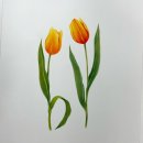 후즈보태니컬아트 | [안산화실] 후즈보태니컬아트 수강생 작품 및 후기입니다^^!