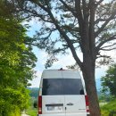 정자점 현대자동차 | 분당 쏠라티 렌트 15인승 렌트카 대여 예약 배차