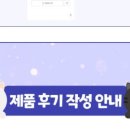 포캣 이미지
