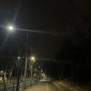 가오한의원 | 미쳤거나 혹은 낭만적이거나