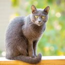 민락동물병원 이미지