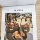햇살머금고바람한모금