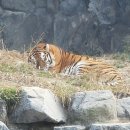 마이서울트립