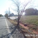 해동경로당 이미지