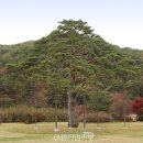 속리산 네이버블로그