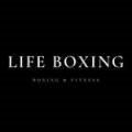 압구정 라이프 복싱 이미지