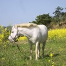 재호농장 이미지